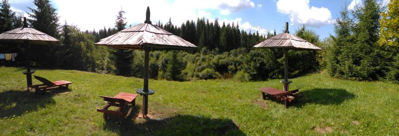 Poiana Stampei Casa Paltin Vila Si Cabane المظهر الخارجي الصورة