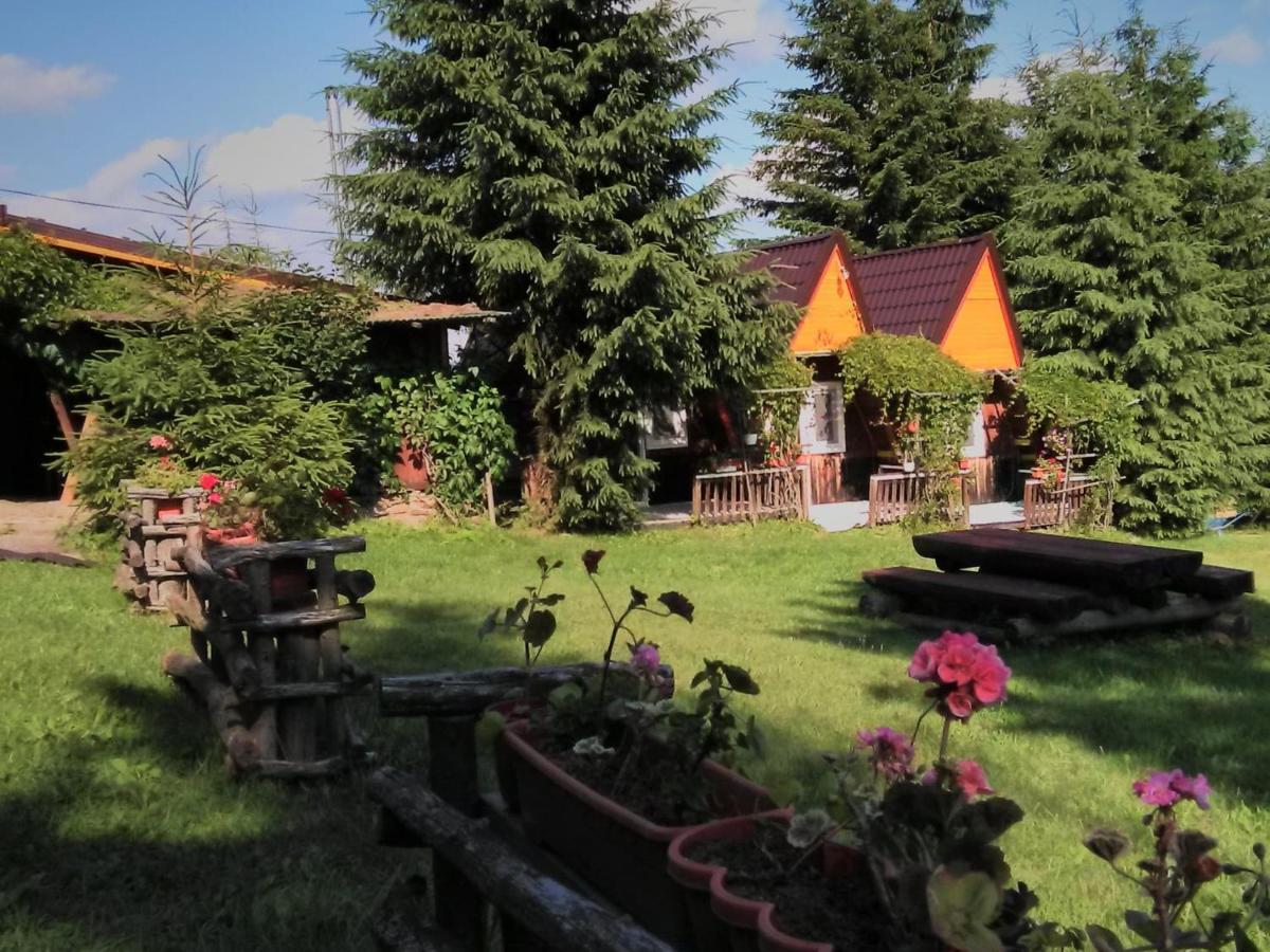 Poiana Stampei Casa Paltin Vila Si Cabane المظهر الخارجي الصورة